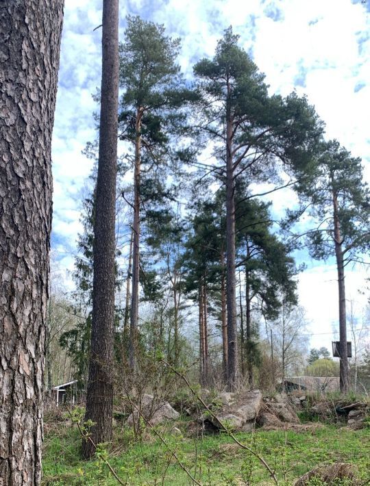 земля р-н Выборгский п Волочаевка Рощинское городское поселение фото 9