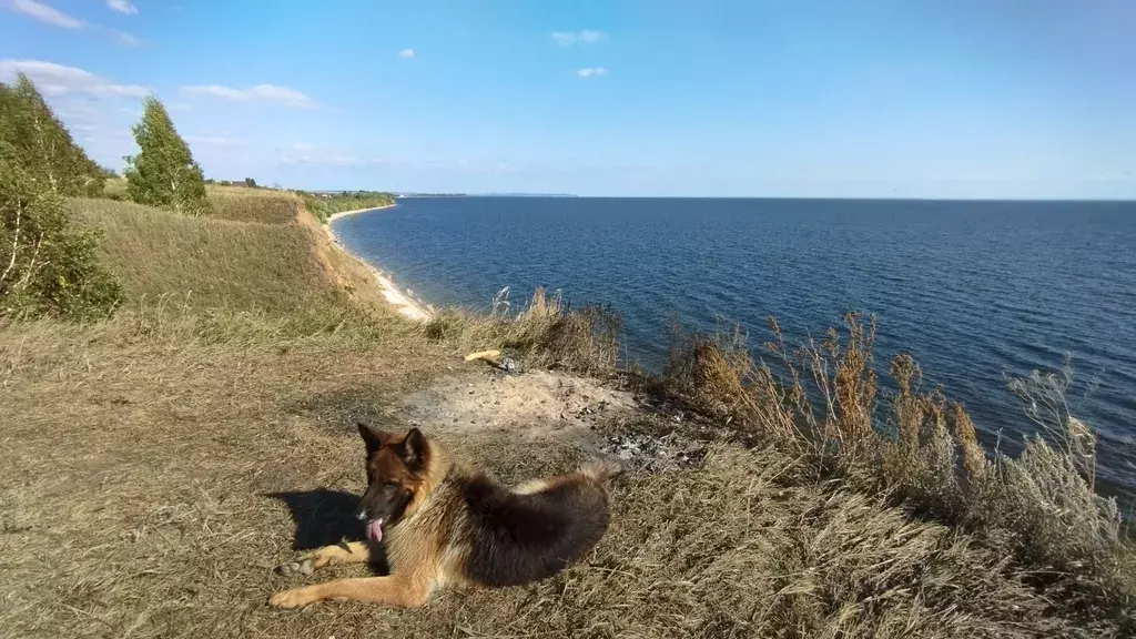 дом р-н Лаишевский г Лаишево ул Набережная 1в фото 16