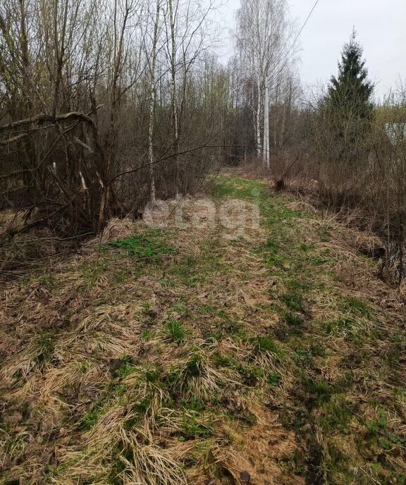 земля городской округ Орехово-Зуевский СНТ Мечта фото 2