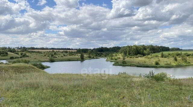 с Троицкое ул Октябрьская фото