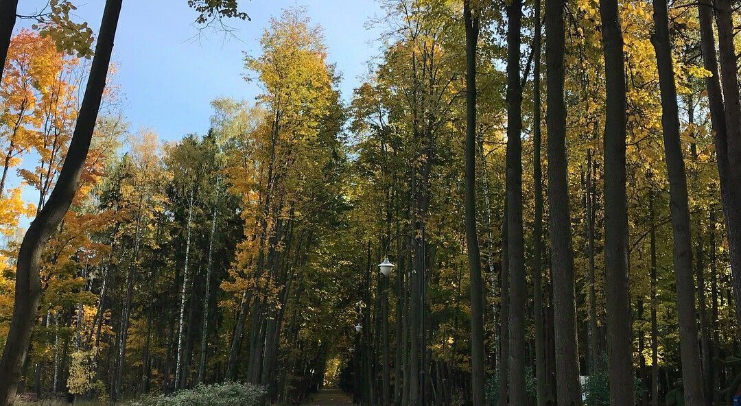 квартира городской округ Люберцы п Мирный Котельники, ул. Академика Северина фото 18