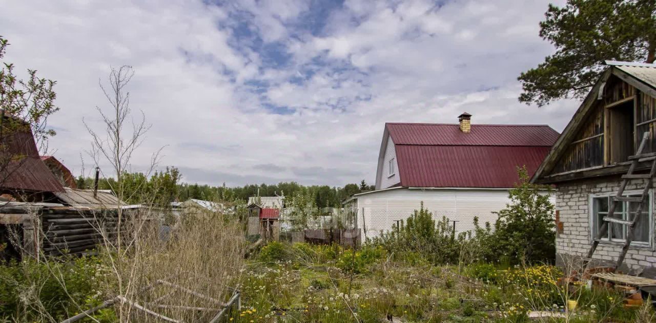 земля р-н Тюменский снт Мичуринец-2 ул Дорожная фото 5