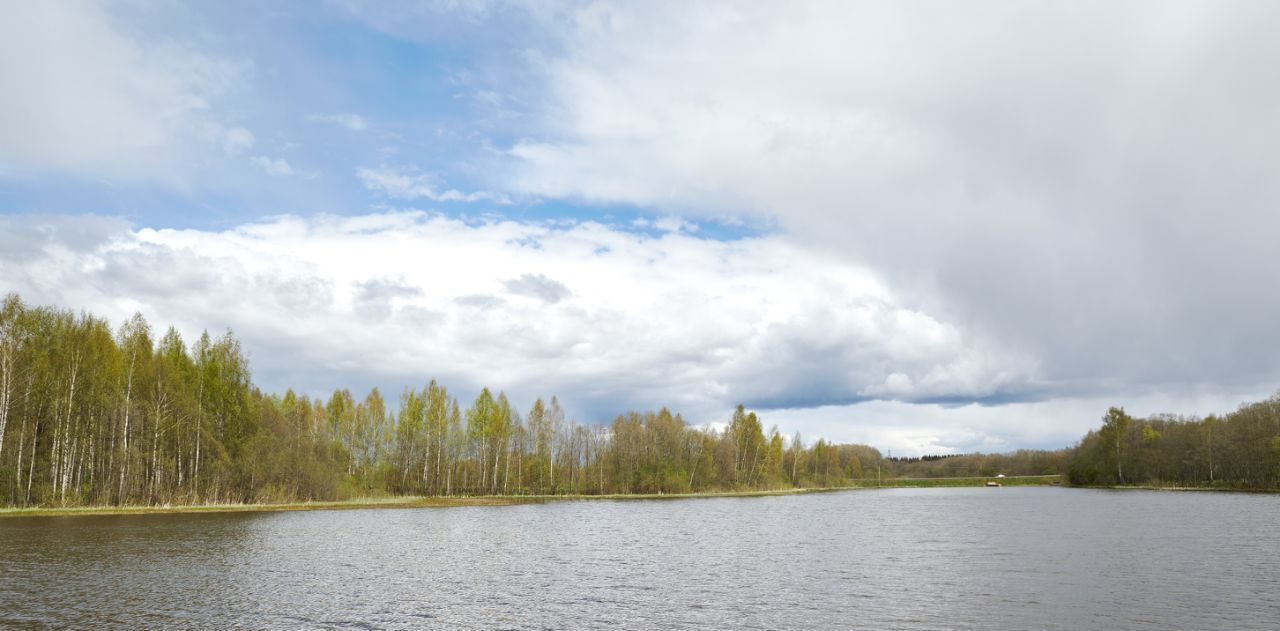 дом городской округ Лотошино д Поляны 26, Истра городской округ фото 30