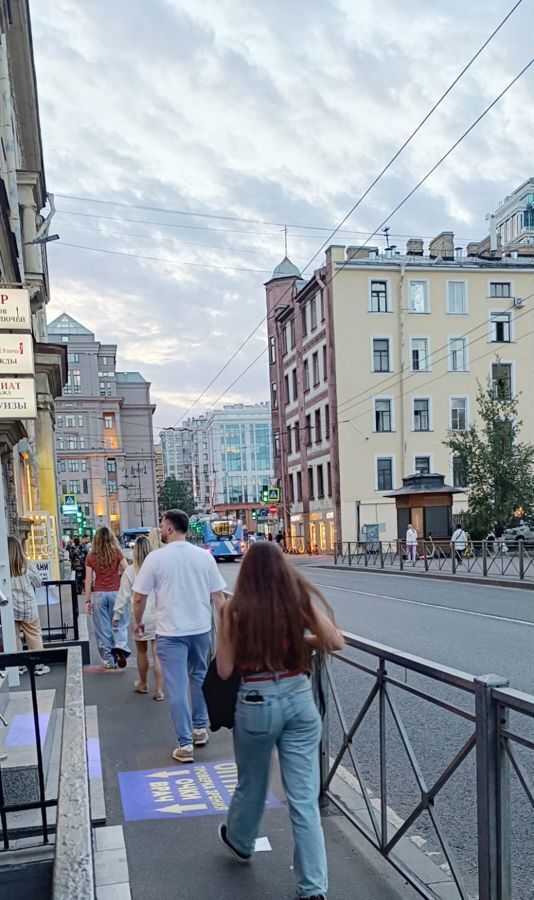 торговое помещение г Санкт-Петербург метро Электросила пр-кт Московский 168 фото 7