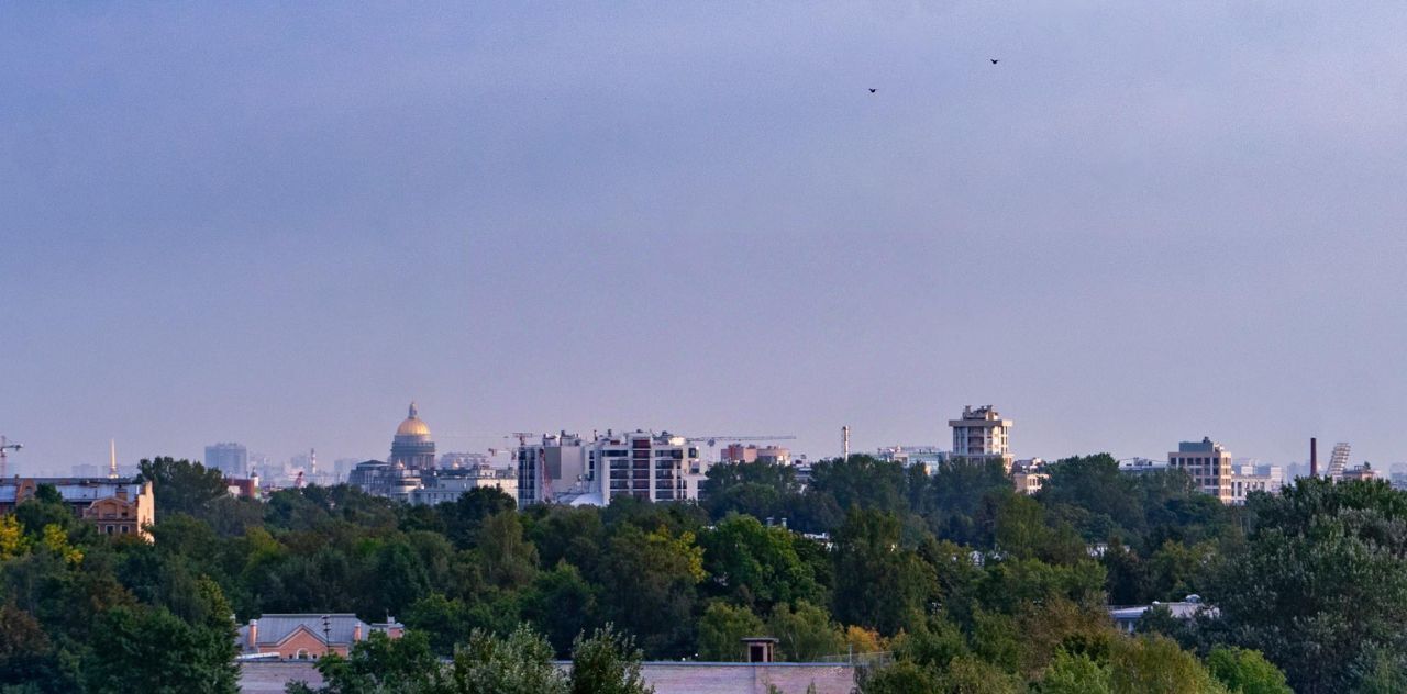 квартира г Санкт-Петербург метро Пионерская ул Полевая Сабировская 45к/1 округ Озеро Долгое фото 29