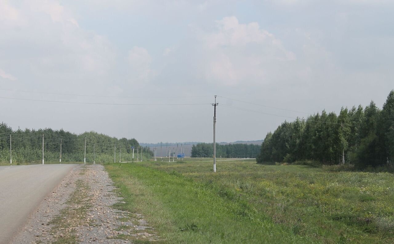 земля р-н Рыбно-Слободский с Анатыш Рыбная Слобода, Анатышское сельское поселение фото 3