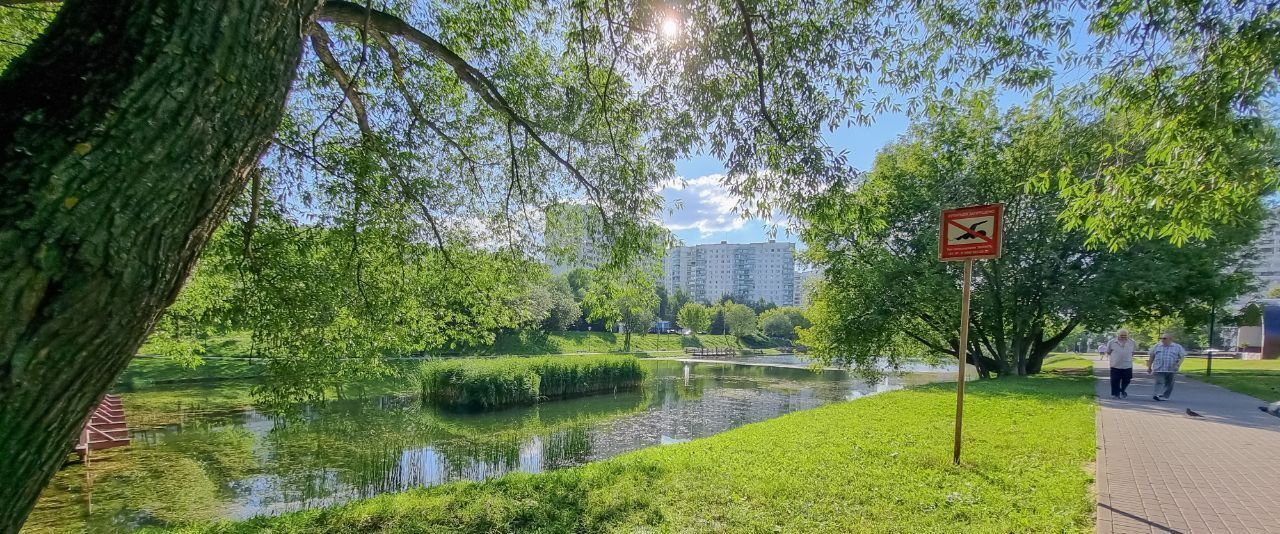 квартира г Москва метро Солнцево ул Волынская 10 муниципальный округ Солнцево фото 23