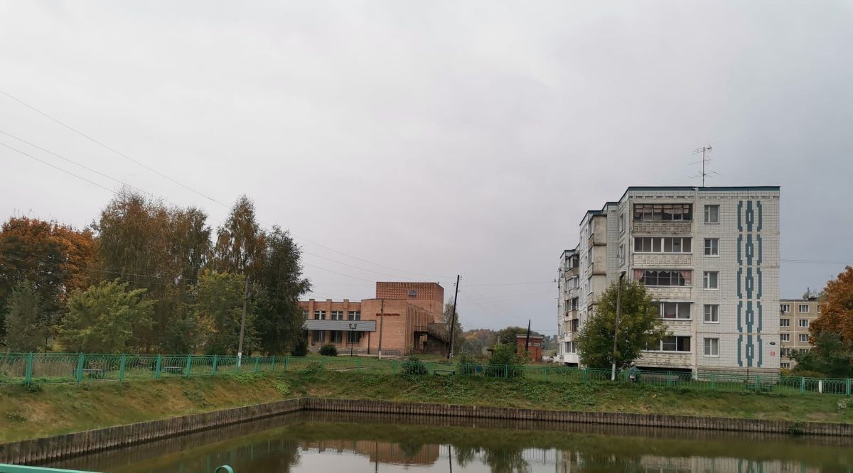 дом городской округ Сергиево-Посадский д Марьино 13 фото 16