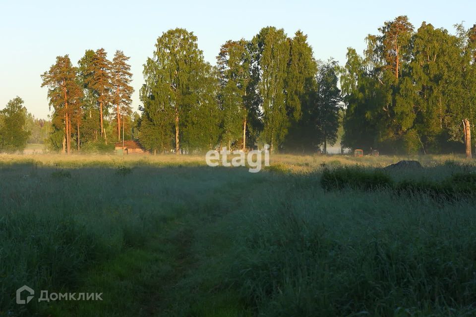 земля р-н Приозерский посёлок Яркое фото 1