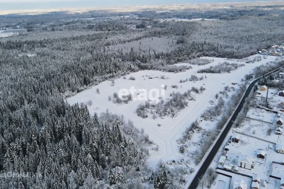 земля р-н Всеволожский д Кискелово 53 фото 2