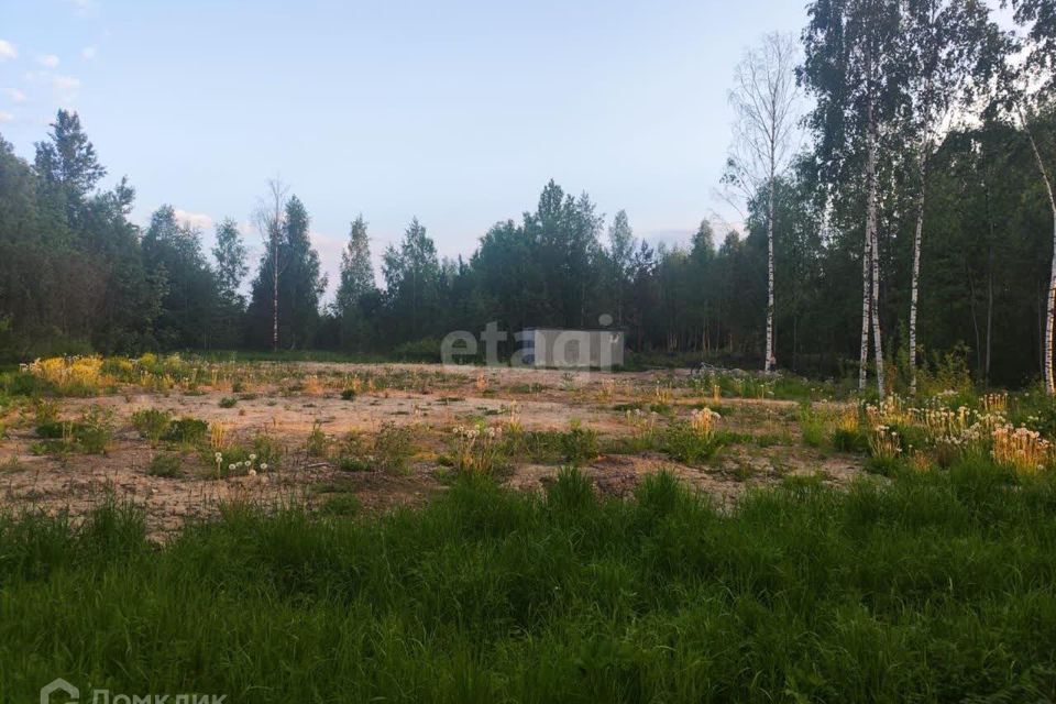 земля р-н Тосненский товарищество собственников недвижимого имущества Водопад, Морской проезд, 12 фото 8