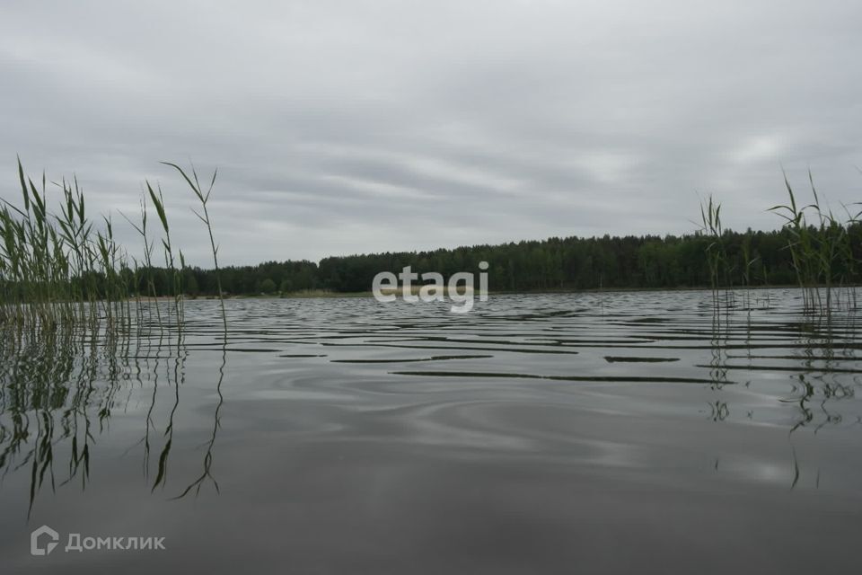 земля р-н Приозерский фото 6