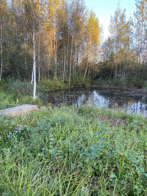 дом городской округ Солнечногорск д Рыгино Заря снт, 72, Ленинградское фото 10