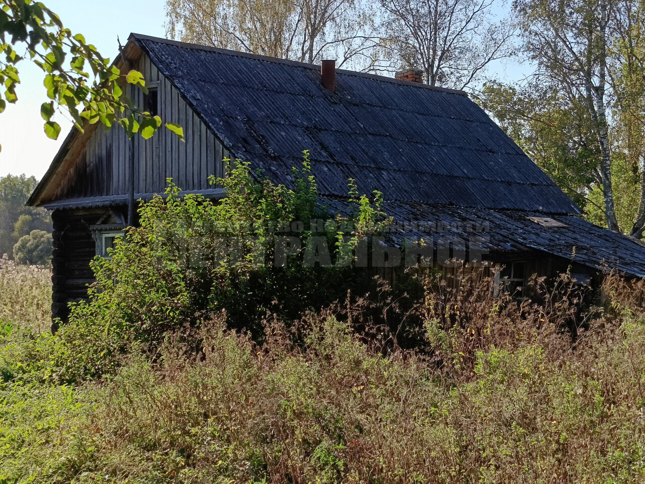 дом р-н Краснинский д Городец ул Лесная 12 фото 5