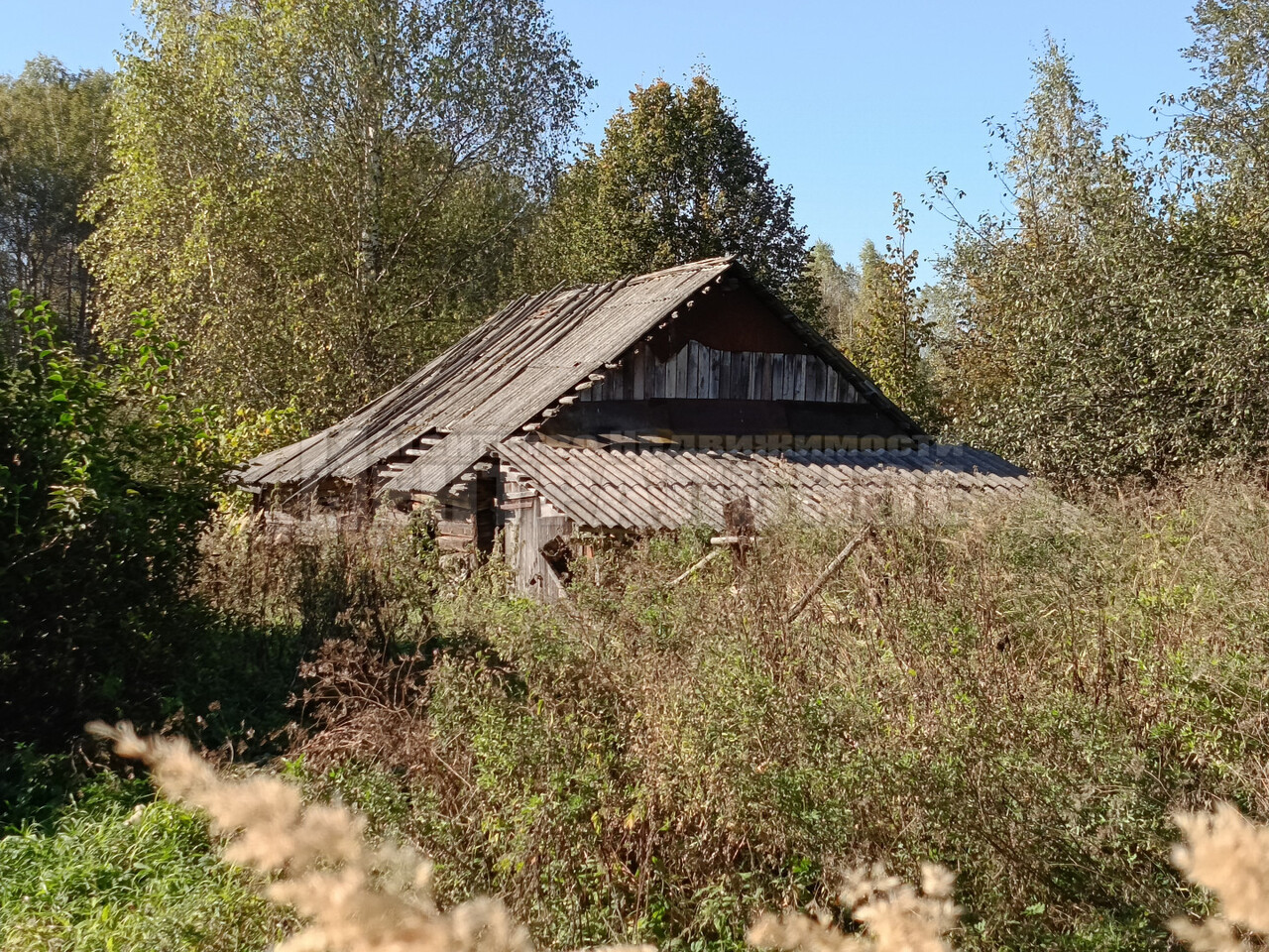 дом р-н Краснинский д Городец ул Лесная 12 фото 7