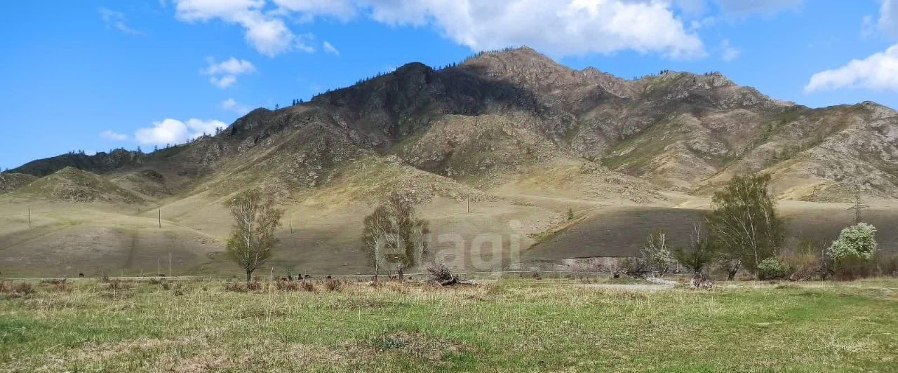 земля р-н Онгудайский с Онгудай Онгудайское сельское поселение фото 5