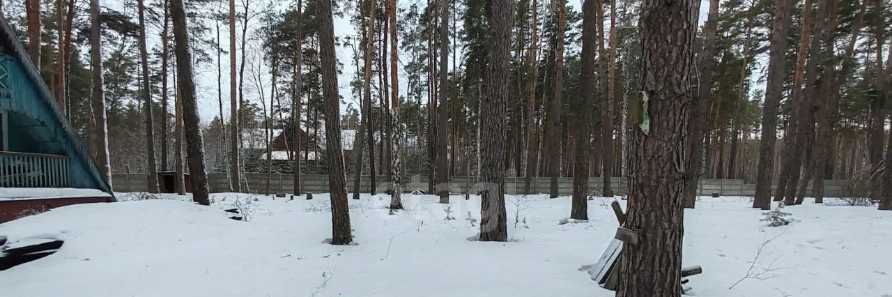 земля р-н Грязинский Ярлуковский сельсовет, Ленинский Лесхоз тер., ул. 107-й квартал фото 5