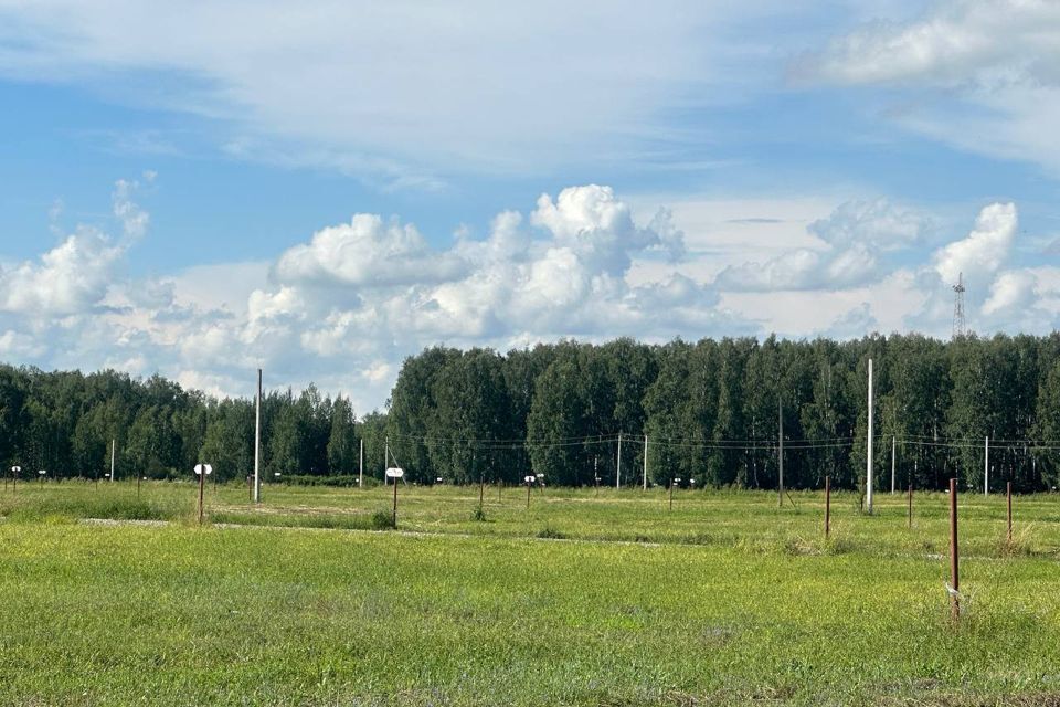 земля р-н Тугулымский село Мальцево фото 1