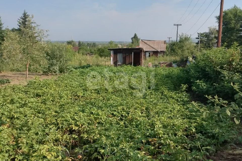 земля р-н Алтайский село Подсинее фото 3