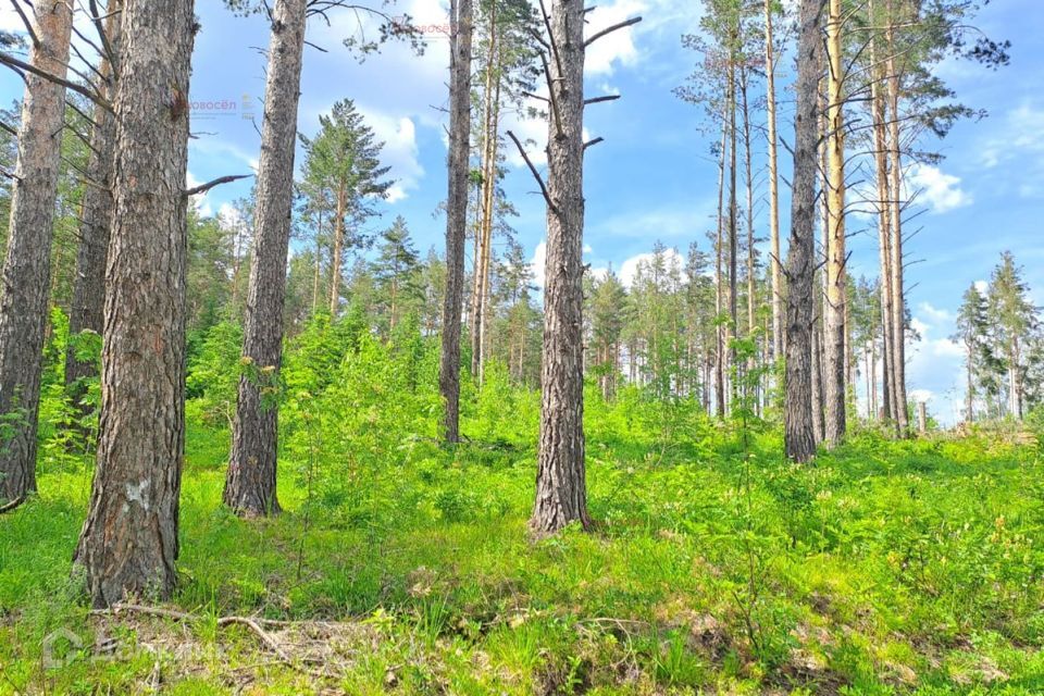 земля городской округ Дегтярск, Дегтярск фото 3