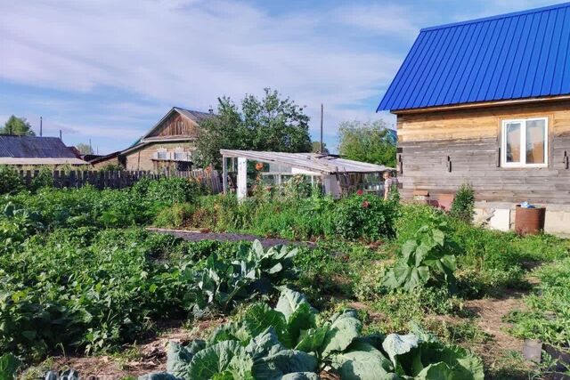 р-н Шимановский Шимановск фото