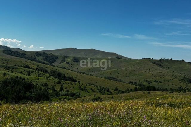 р-н Алтайский село Ая фото