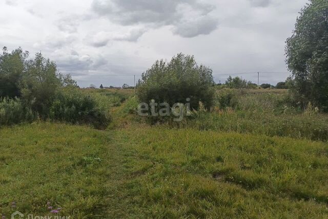 городской округ Тамбов, село Бокино фото