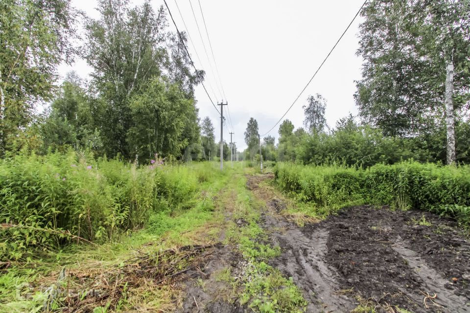 земля г Тюмень снт Сосновая поляна ул 30-я городской округ Тюмень фото 3