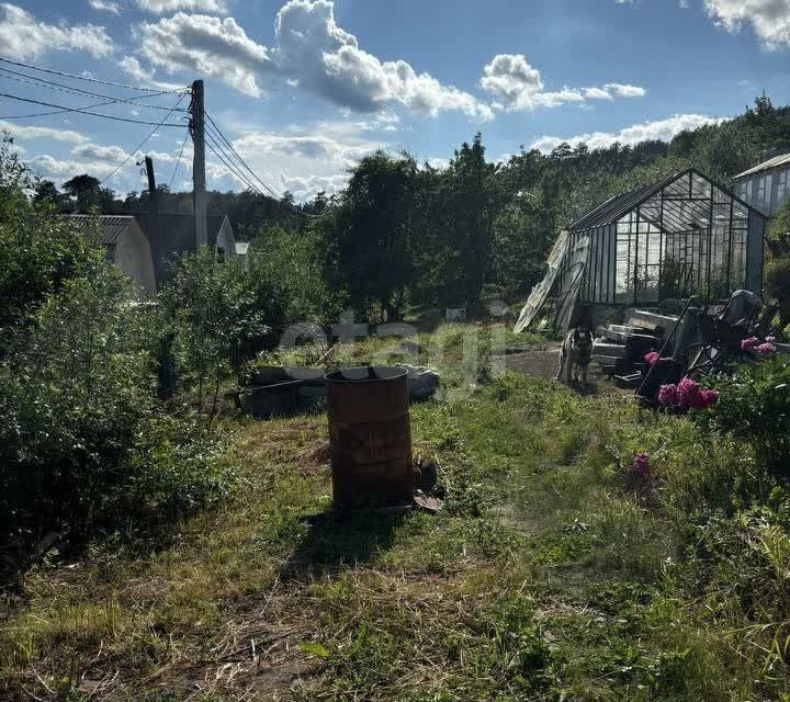 земля Миасский городской округ, коллективный сад Нагорный фото 4