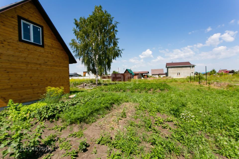 земля р-н Новосибирский снт Рябинка обская снт Рябинка Обская фото 2