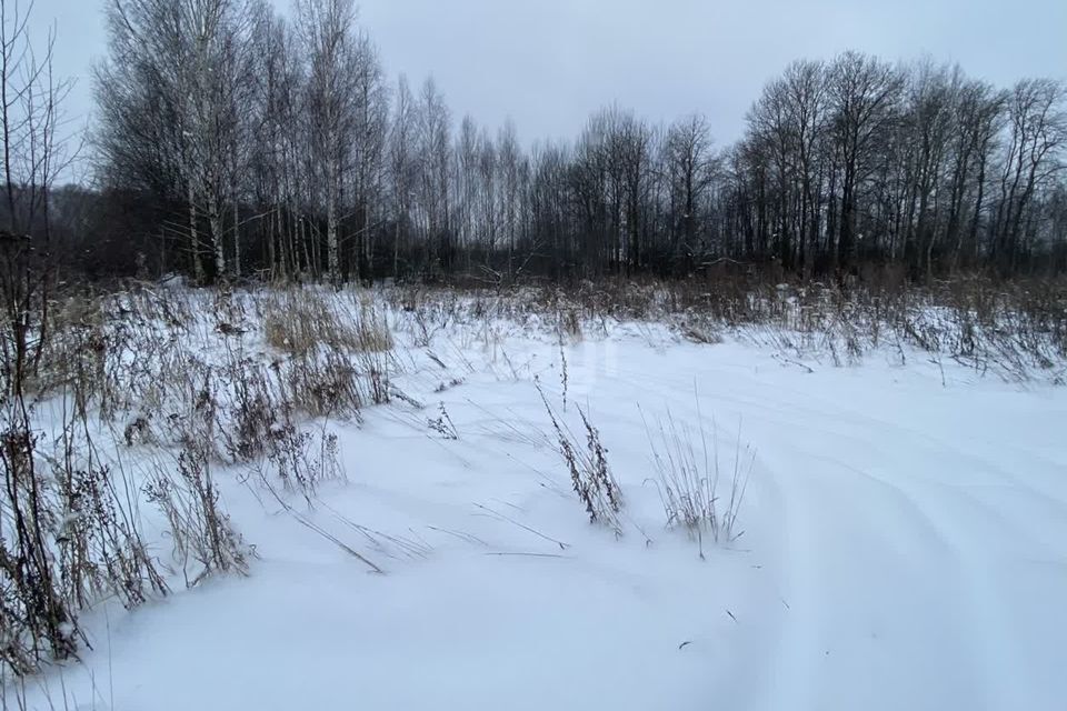 земля р-н Муромский село Ковардицы фото 1