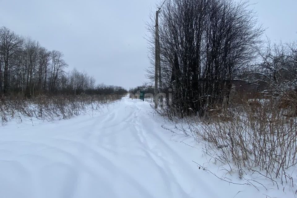 земля р-н Муромский село Ковардицы фото 2