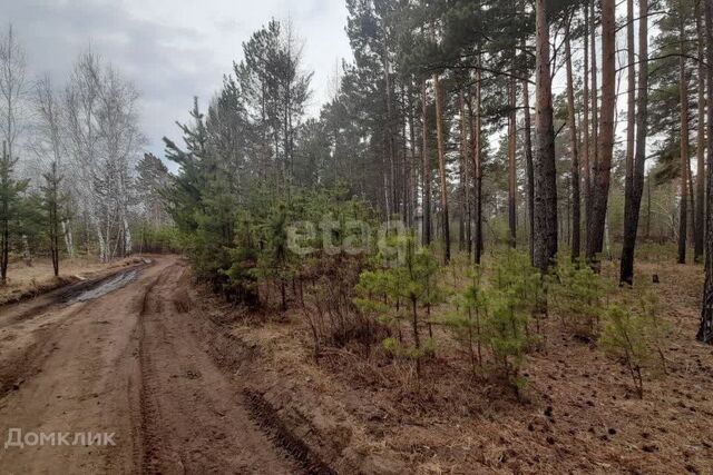 земля р-н Читинский село Смоленка фото