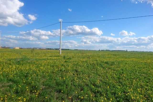 городской округ Назарово, Назарово фото