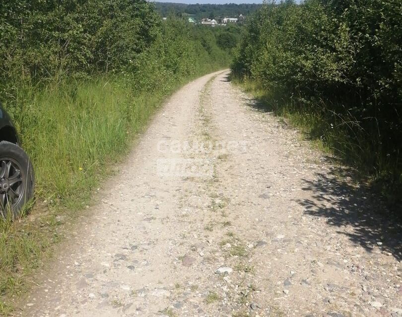 земля р-н Александровский фото 3