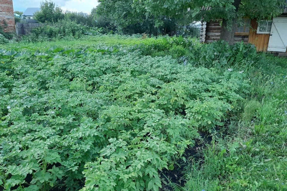 земля р-н Янаульский г Янаул ул Цюрупы городское поселение Янаул фото 2