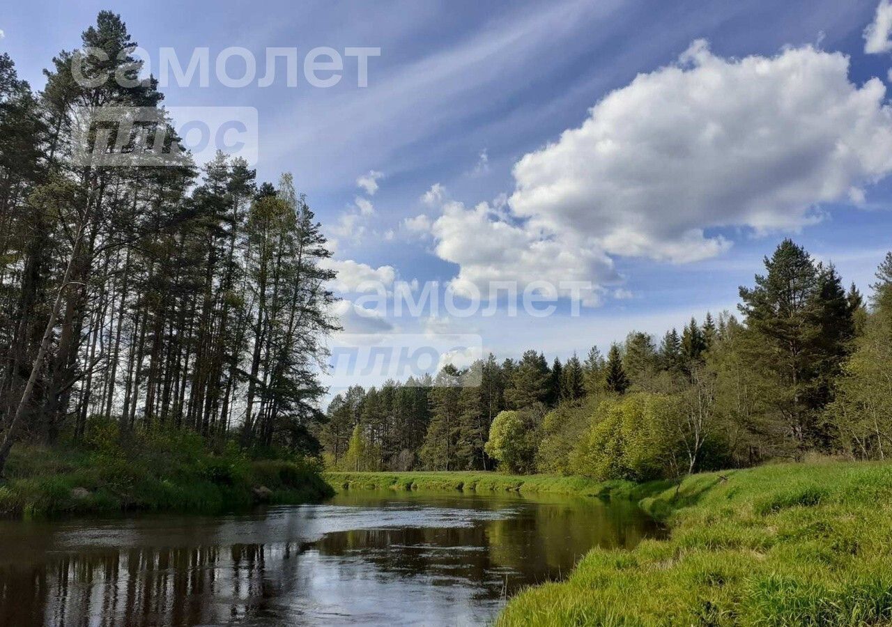 земля р-н Плюсский д Заруденье ул Центральная 6 Ленинградская область, Волошово фото 3