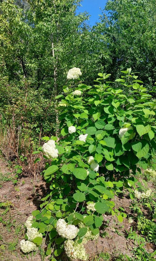 дом городской округ Коломенский д Ворыпаевка 77 км, Коломна, Новорязанское шоссе фото 28