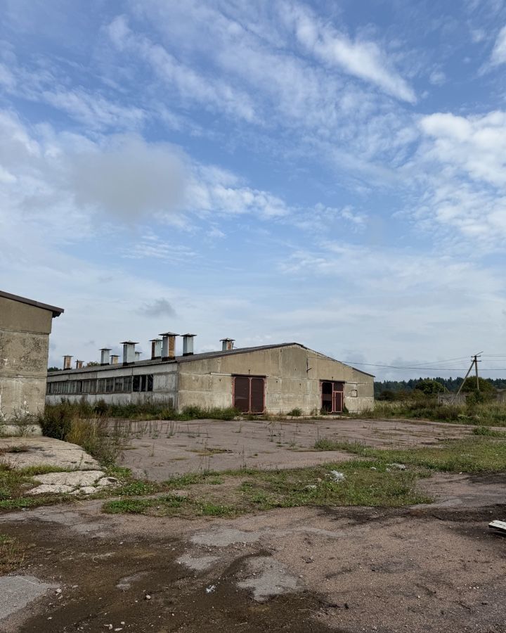 офис р-н Выборгский п Токарево Советское городское поселение, Молочная ул., 7, Советский фото 4