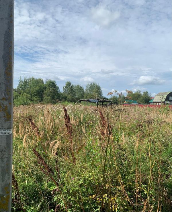 земля городской округ Сергиево-Посадский д Березняки снт Зеленые пруды 9784 км, 75, Сергиев Посад, Ярославское шоссе фото 4