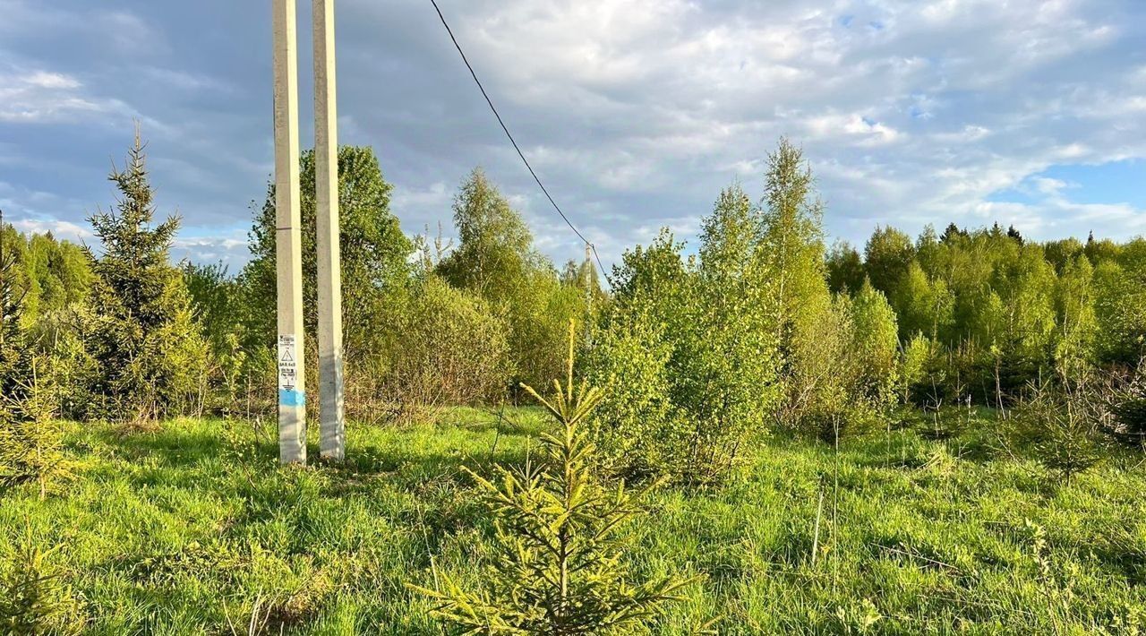 земля городской округ Дмитровский Морозово Парк кп фото 13