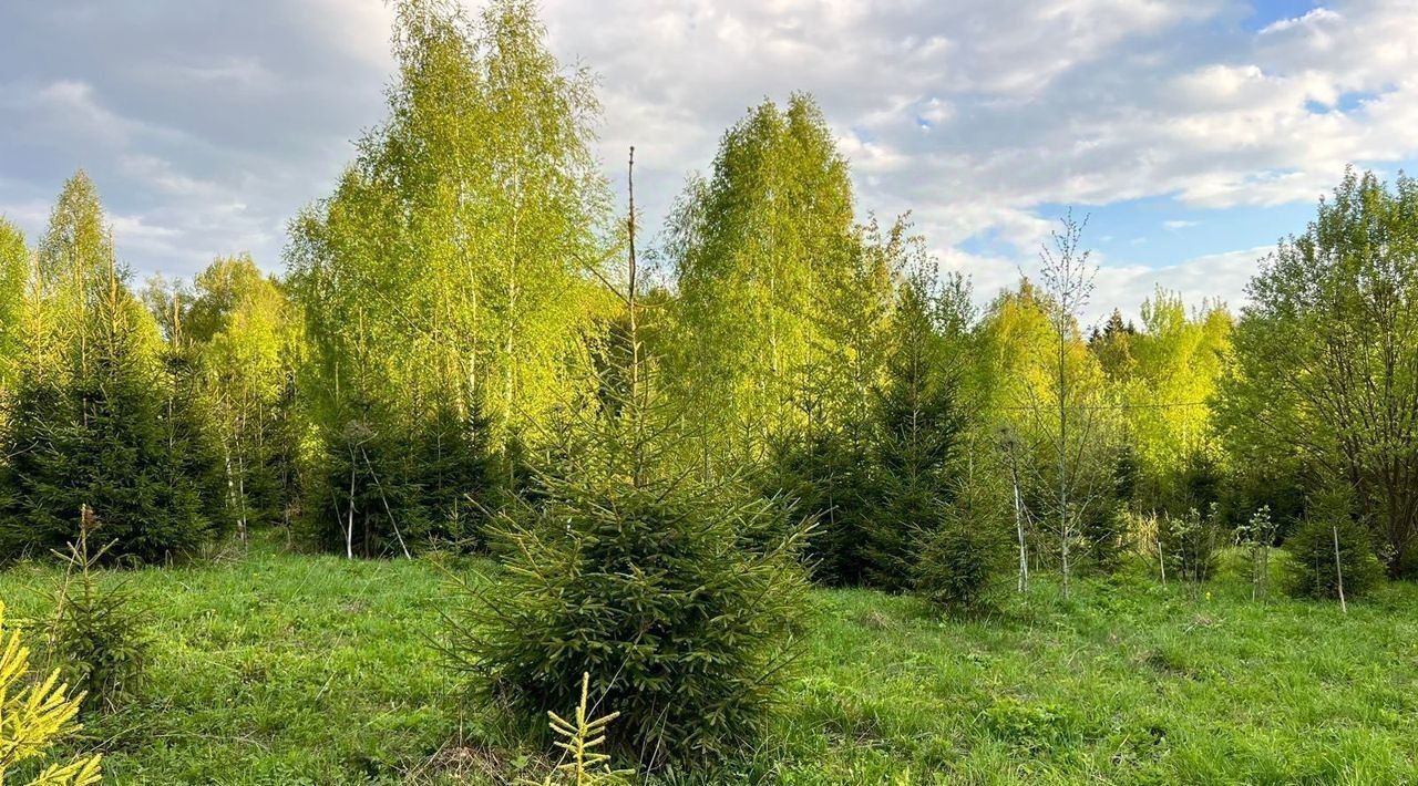 земля городской округ Дмитровский Морозово Парк кп фото 14