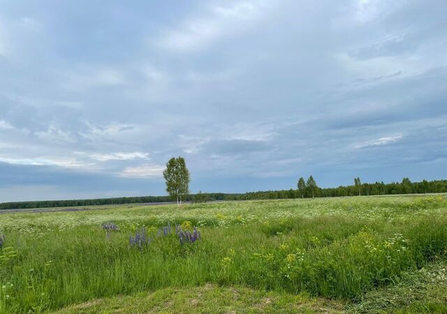 Ярославское шоссе, 9735 км, муниципальное образование Каринское, Карабаново фото