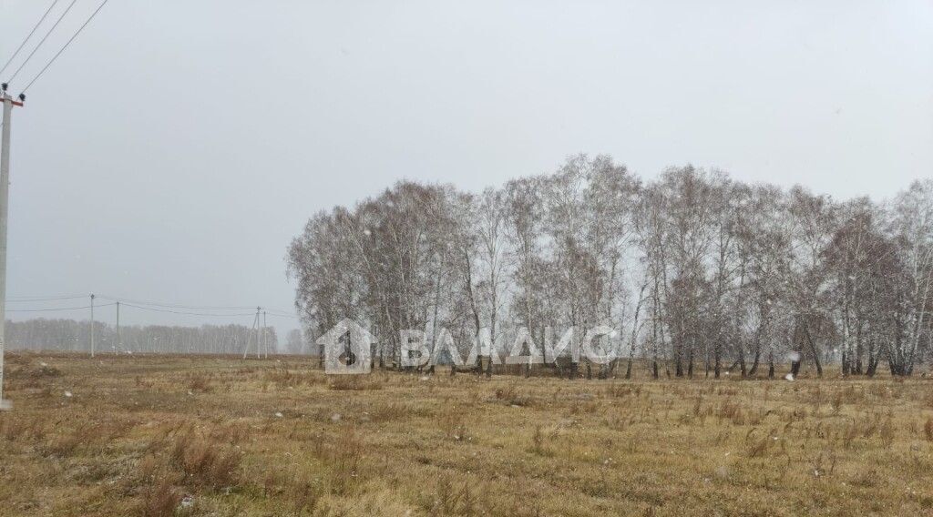 земля р-н Ордынский с Вагайцево ул Шукшина Вагайцевский сельсовет фото 1