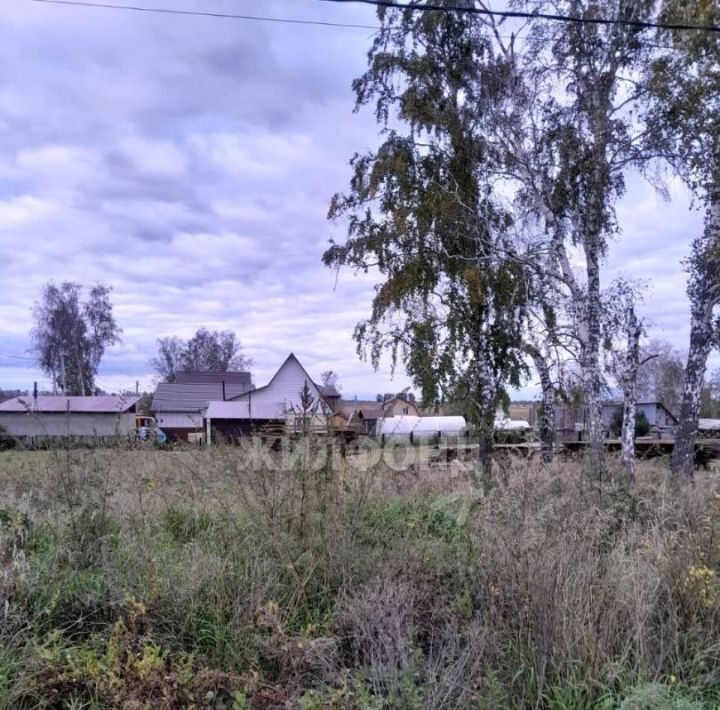 земля р-н Ордынский с Вагайцево ул Станичная фото 1