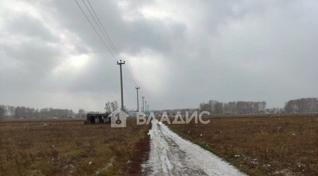 земля р-н Ордынский с Вагайцево ул Шукшина Вагайцевский сельсовет фото 4