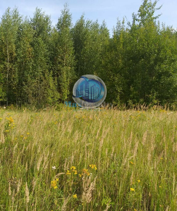 земля городской округ Ступино д Проскурниково ТСН Станица Староигнатьевская фото 2