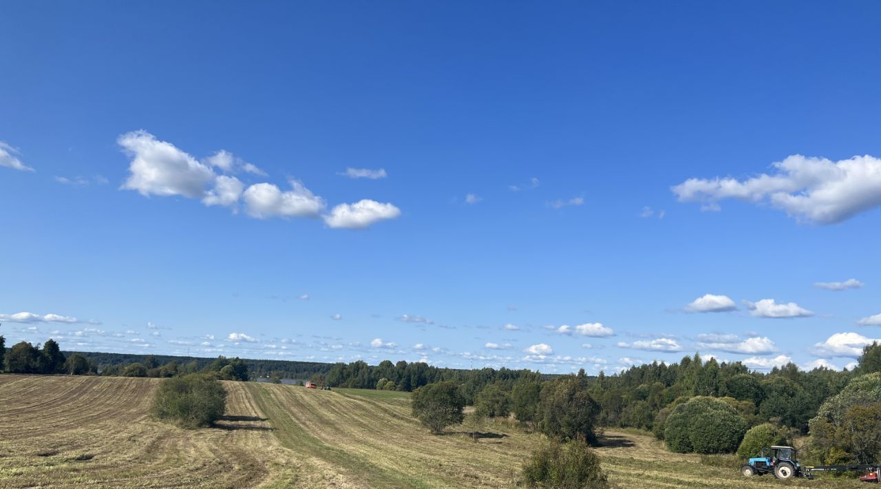 офис р-н Выборгский Рощинское городское поселение фото 2