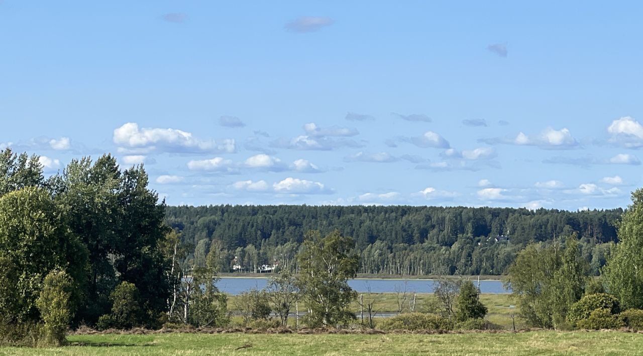 офис р-н Выборгский Рощинское городское поселение фото 3