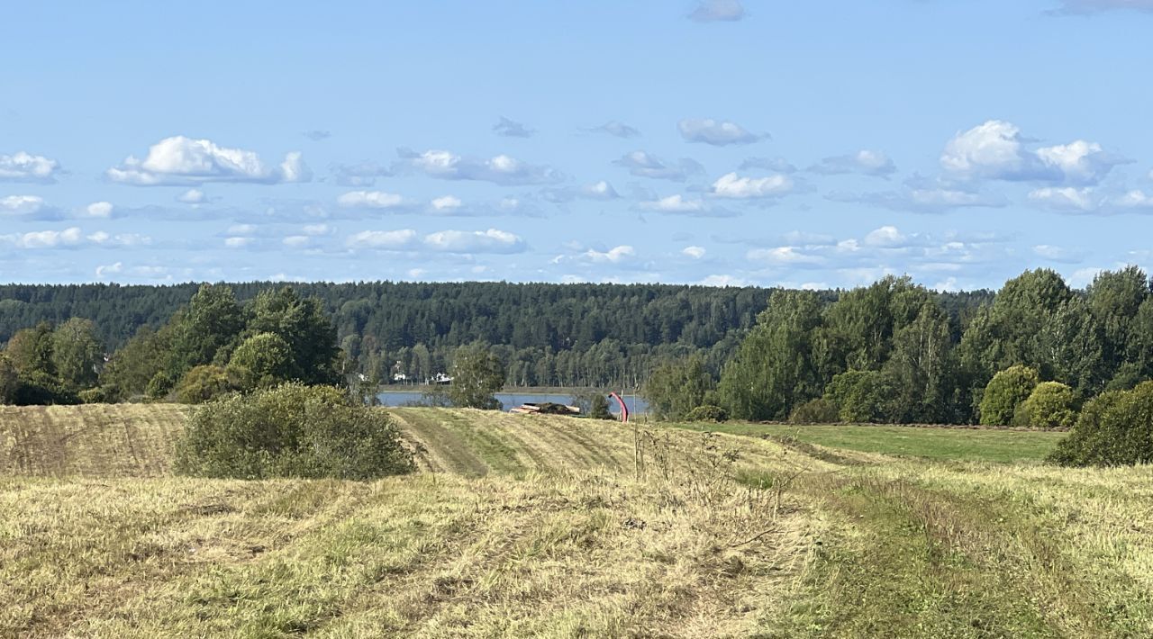 офис р-н Выборгский Рощинское городское поселение фото 4